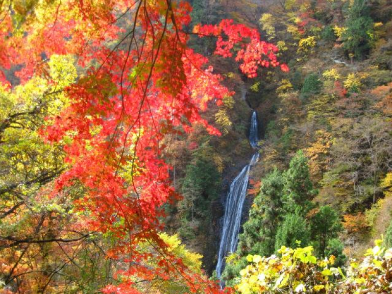 埼玉県小鹿野町の丸神の滝